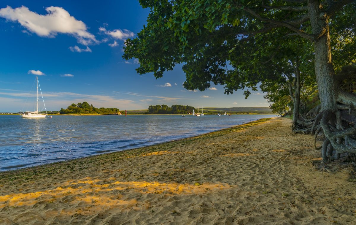 The small sandy stretch of beach at RSPB Arne, near Wareham Dorset, from the shoreline, views across to Brownsea Island