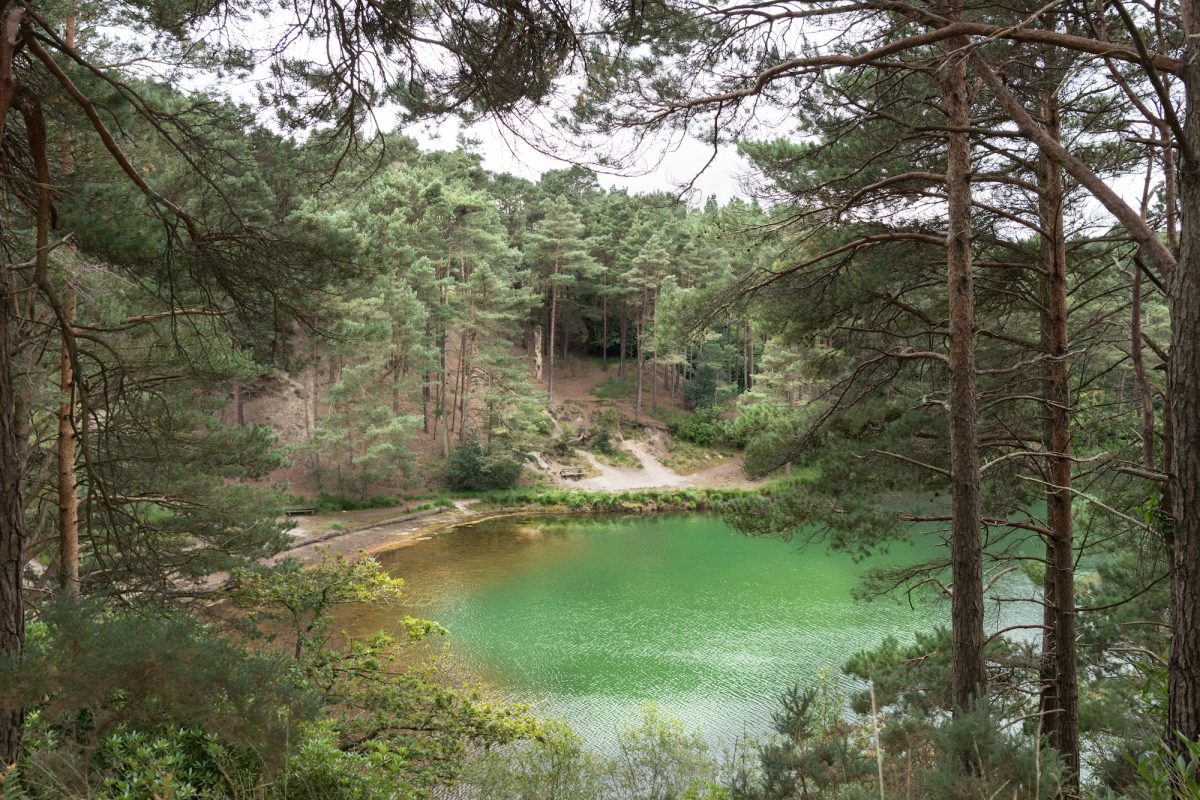 The Blue Pool with green coloured water surrounded by woodland and paths.