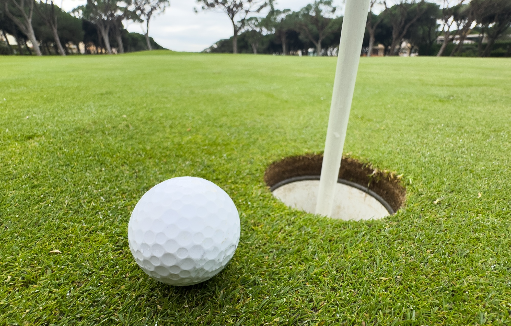 Came Down Golf Club
