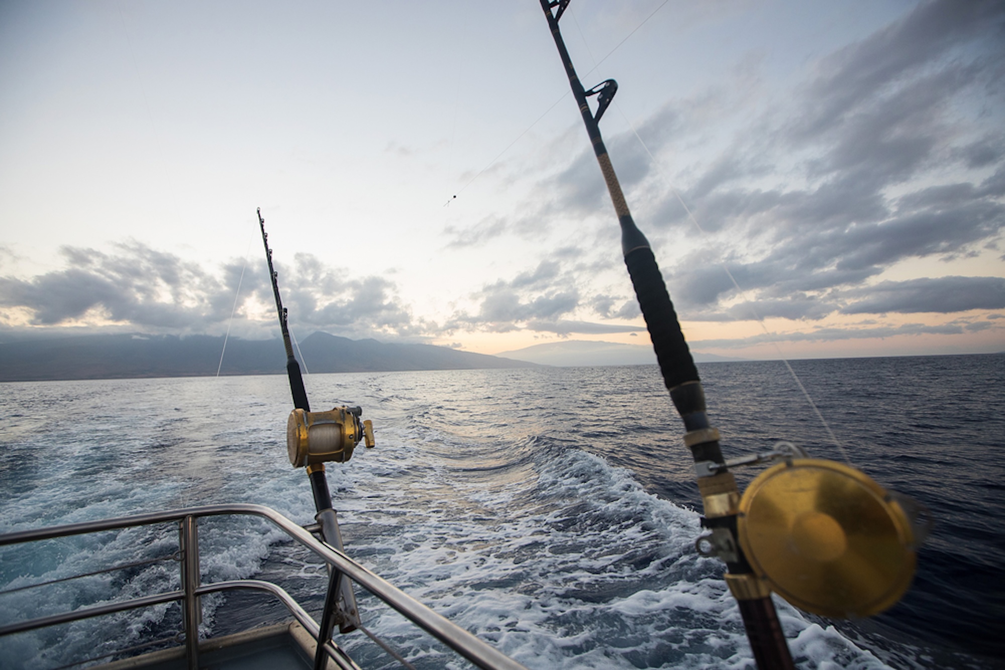 Amarisa Weymouth Deep Sea Fishing