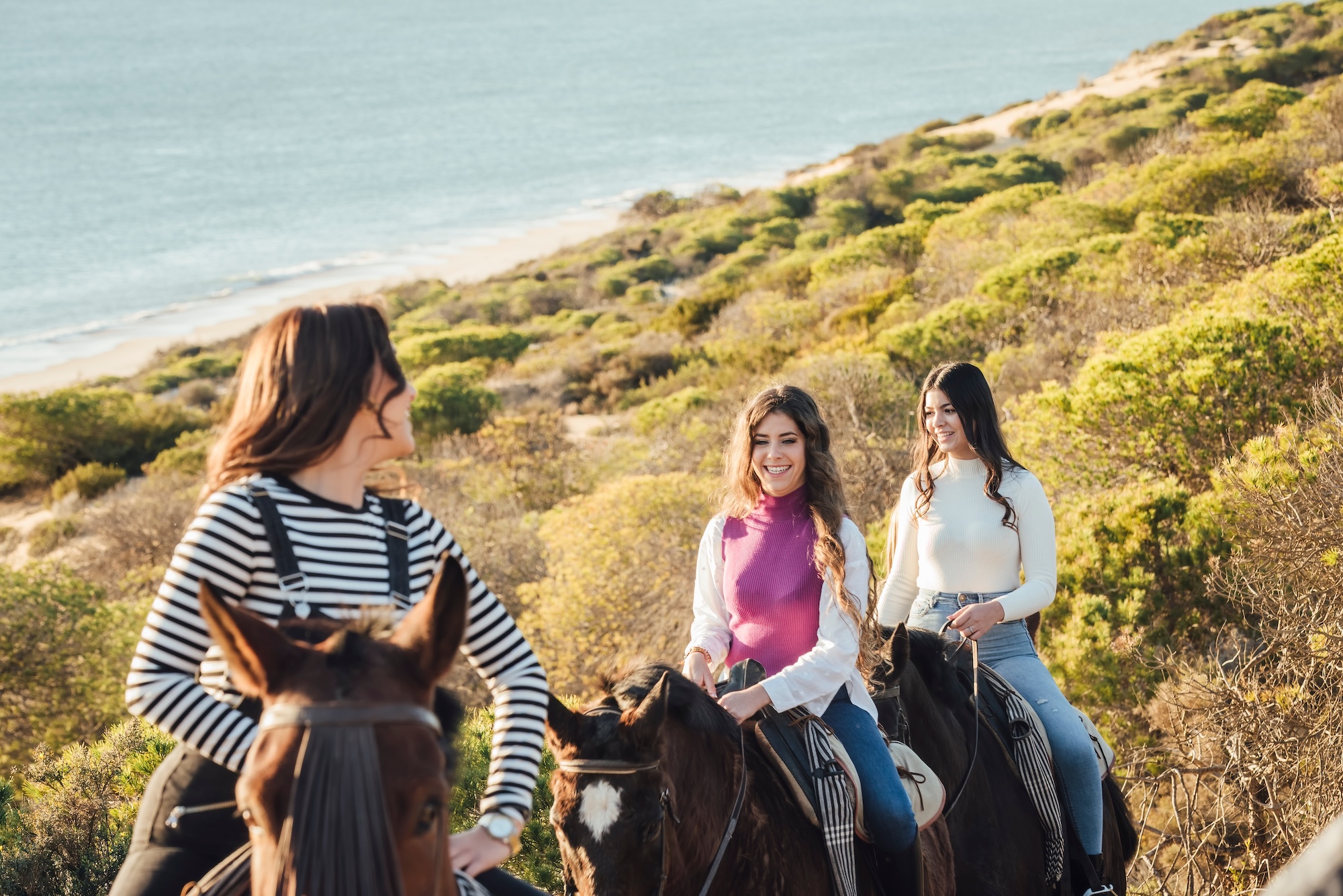 Studland Trekking Centre