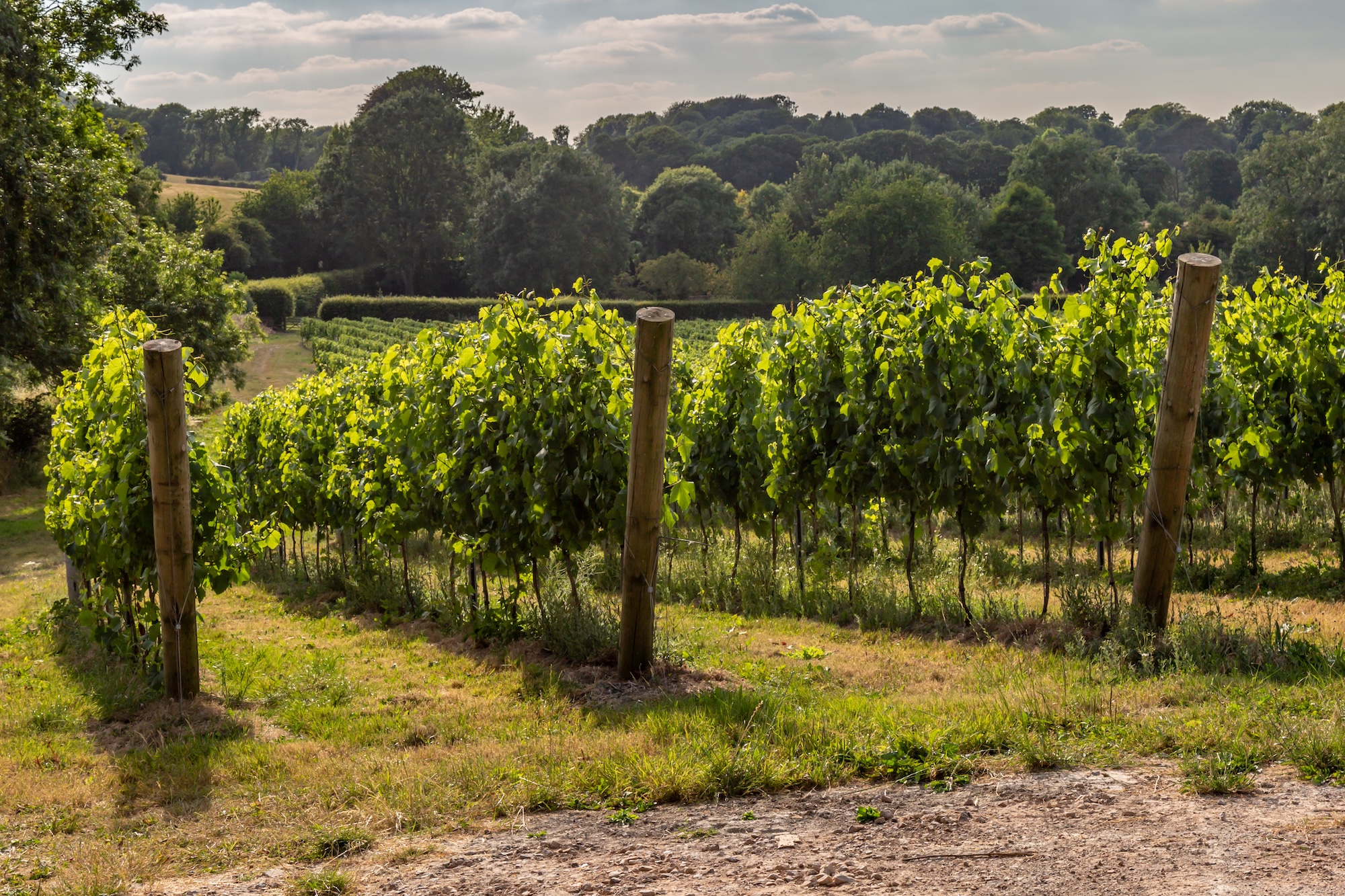 Langham Wine Estate and Smiths Kitchen