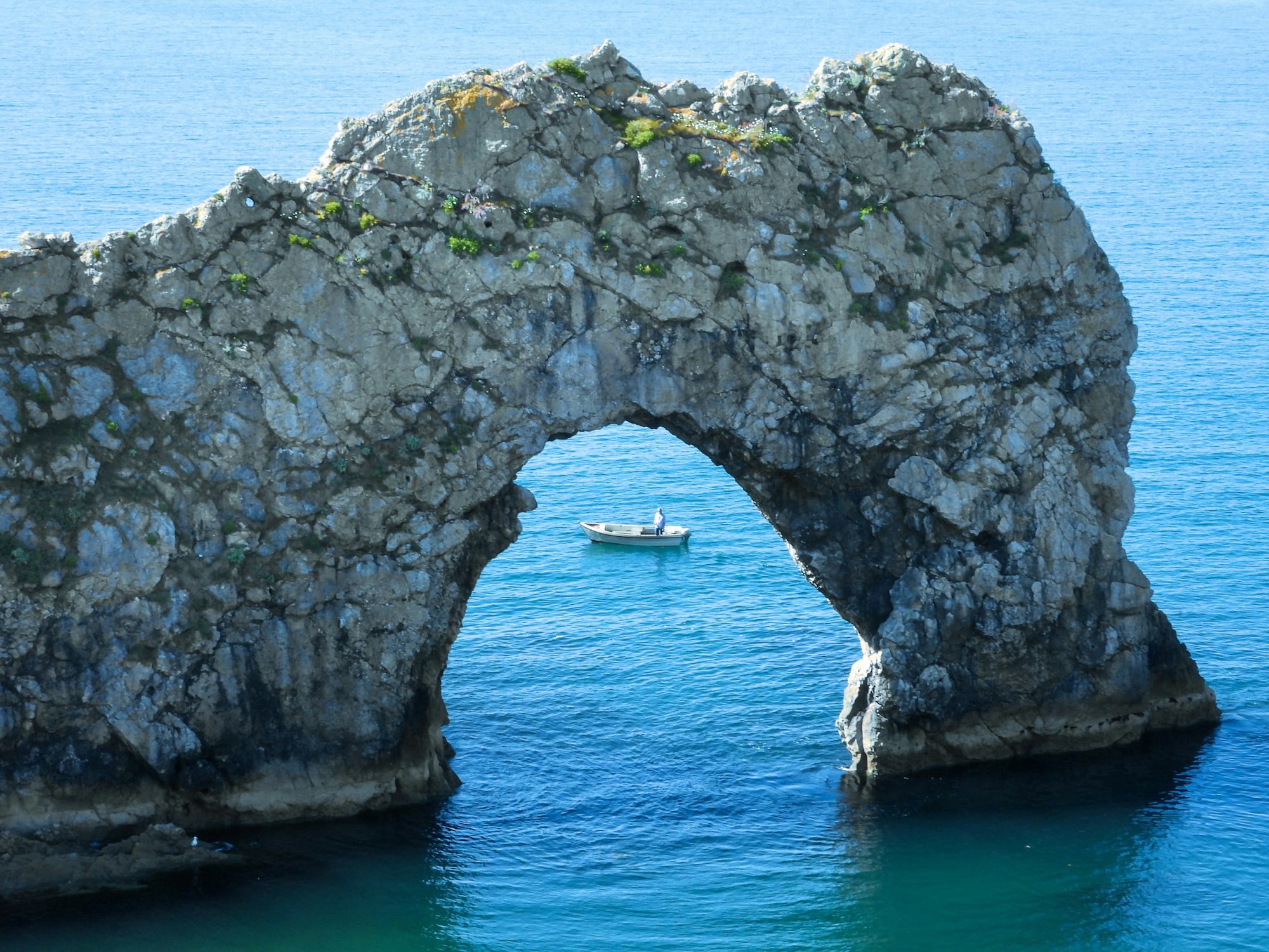 Coastal Vibes Charters