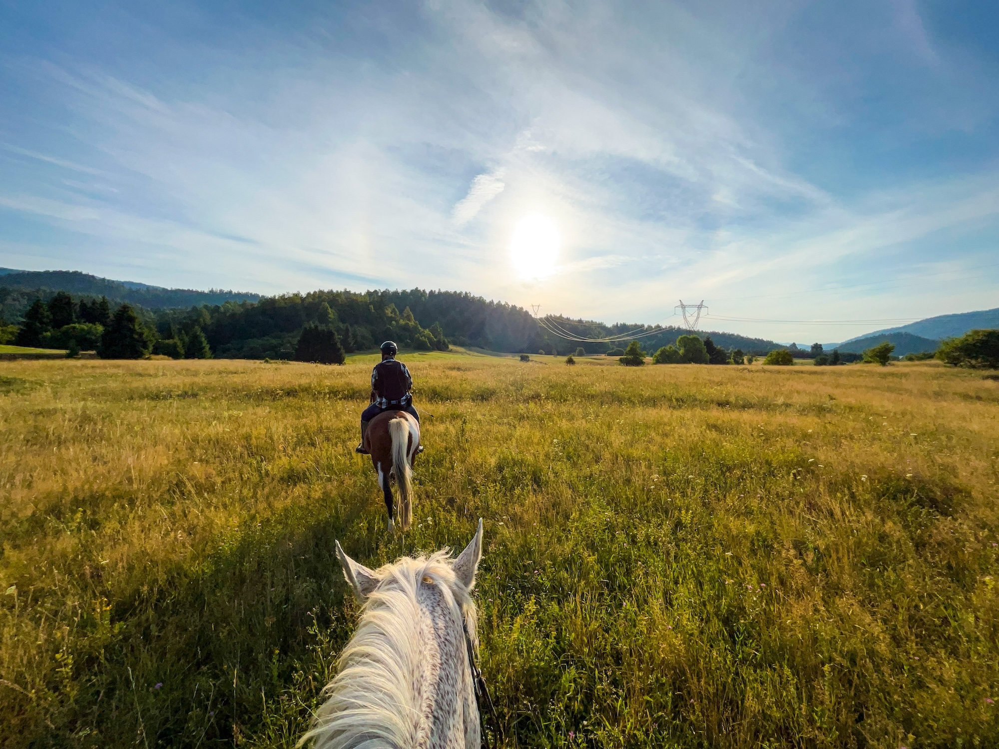 Lulworth Equestrian Centre