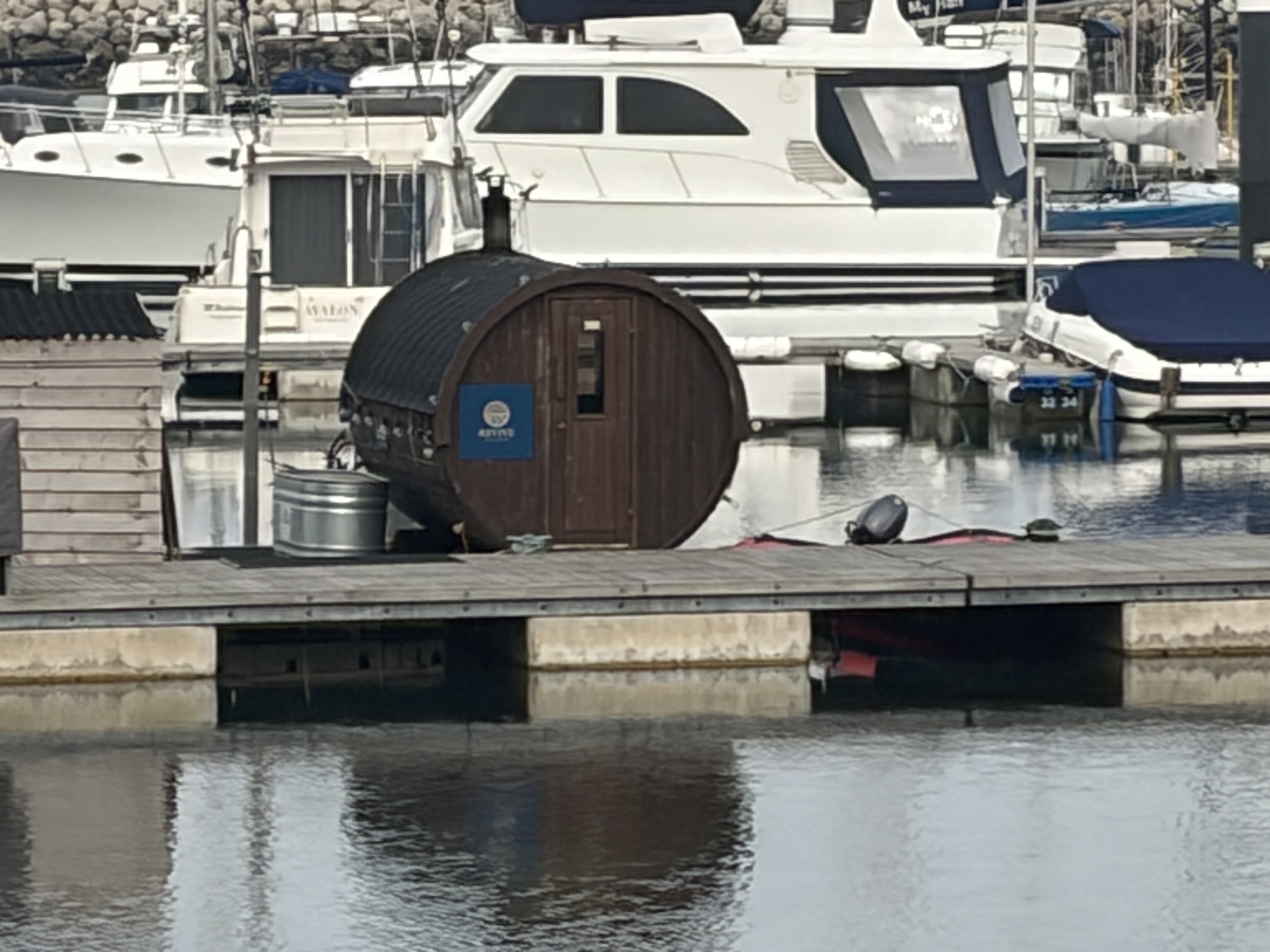Revive Wild Sauna