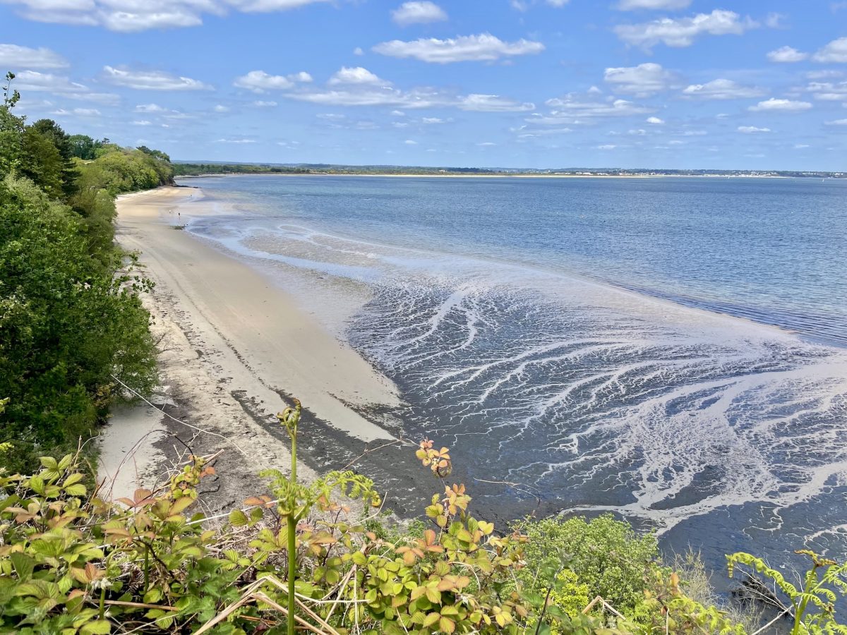 South Beach on the Studland Peninsula