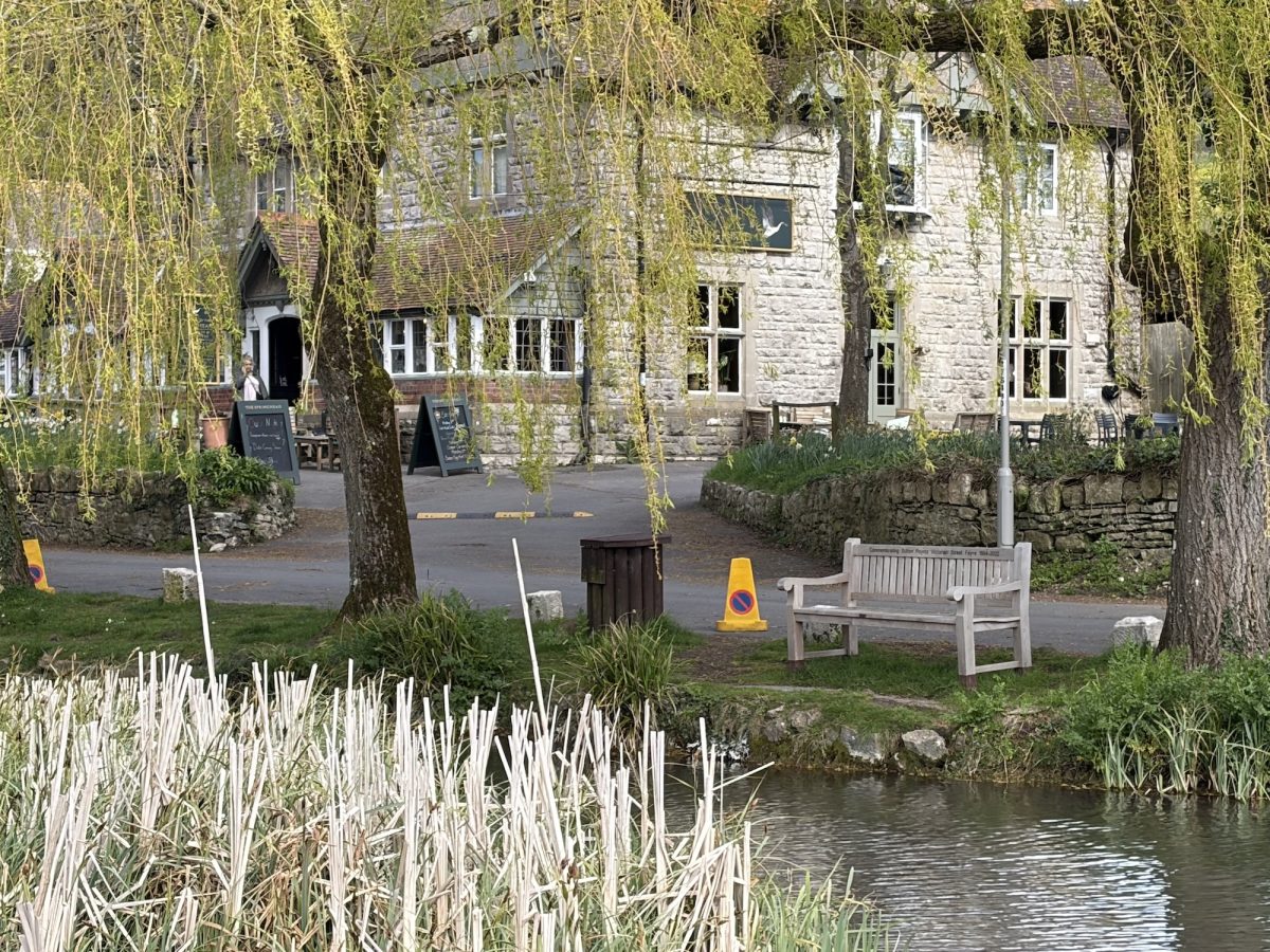 Exterior shot of The Springhead