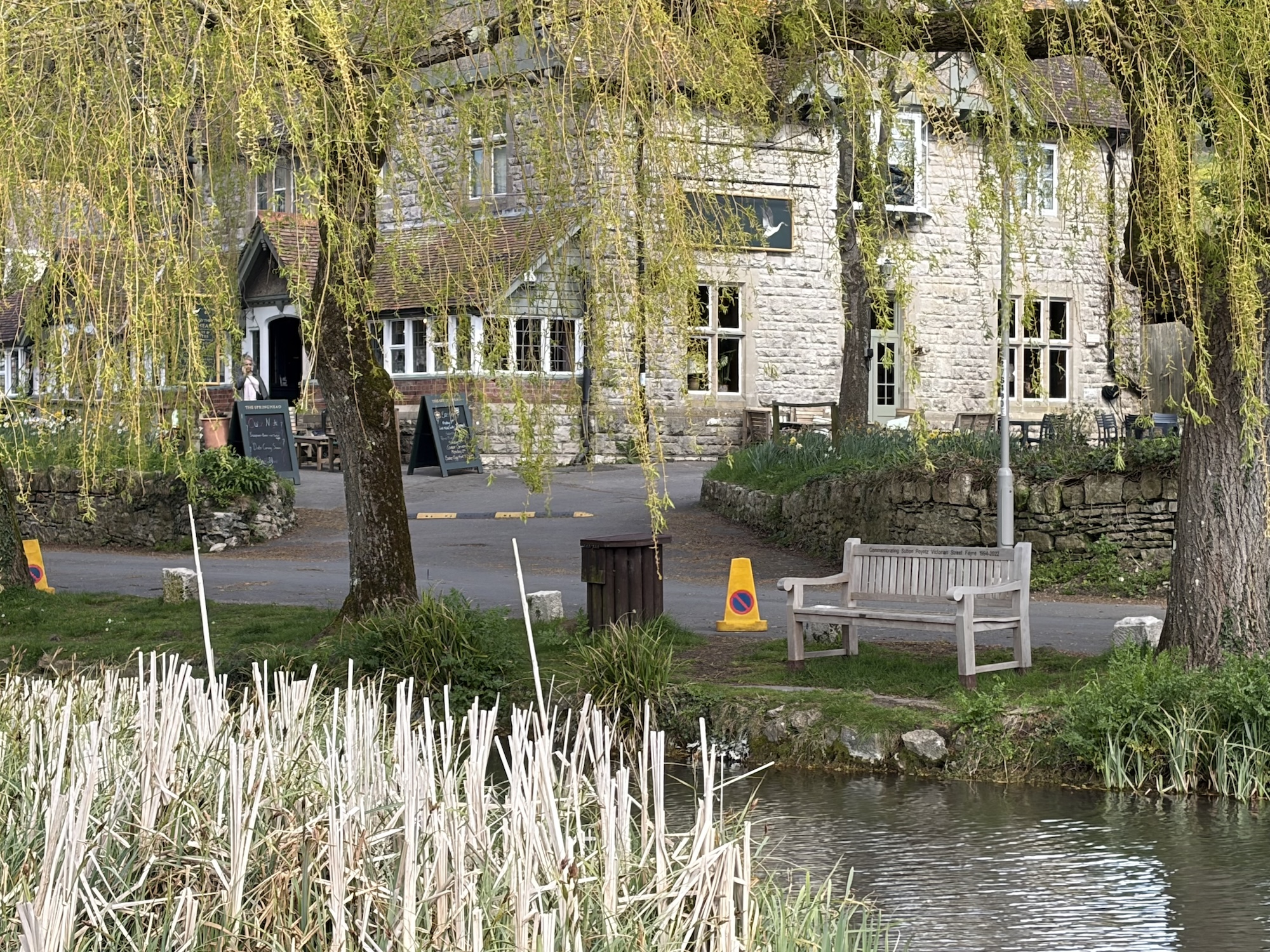 The Springhead