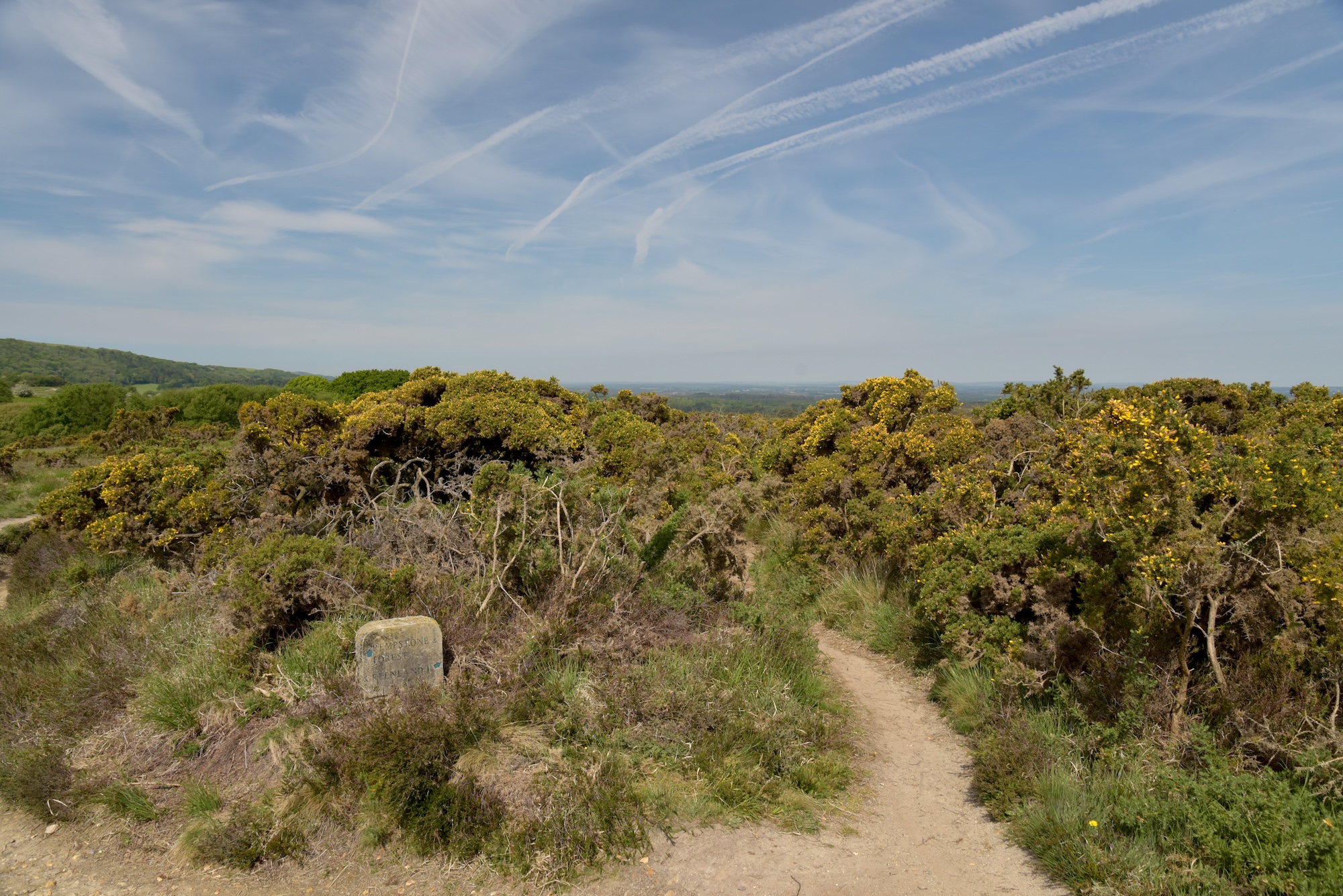 Studland & Godlingston Heath