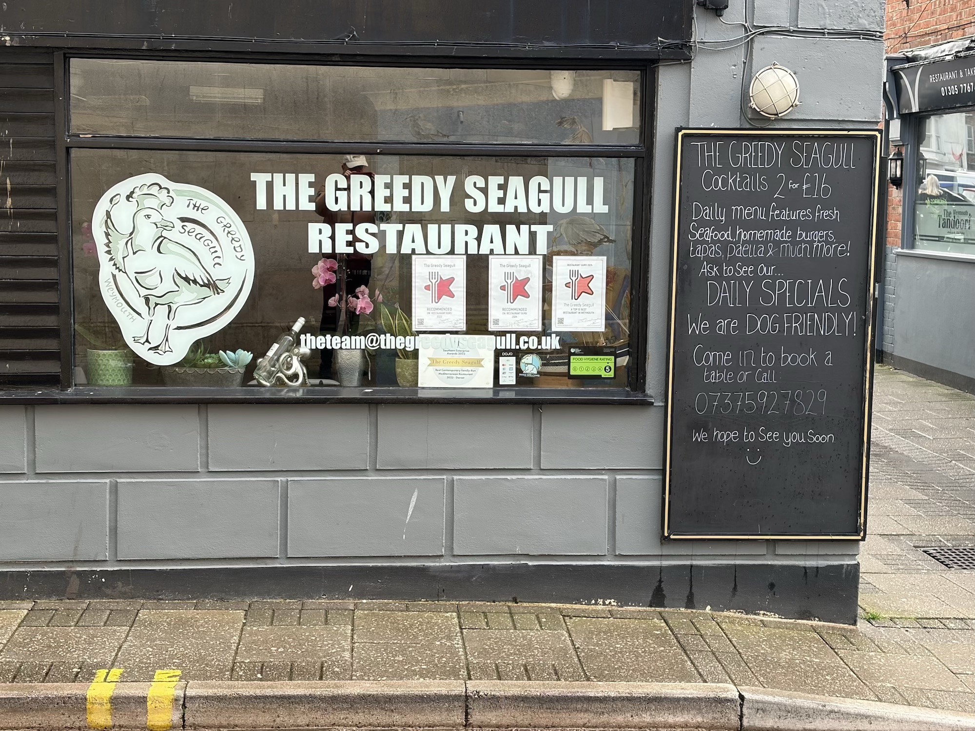 The Greedy Seagull
