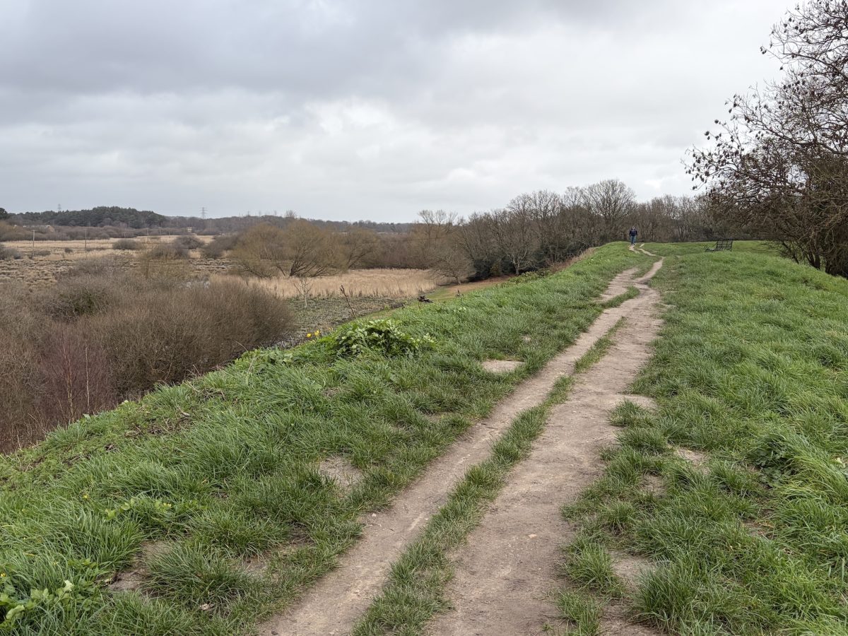 A view from the top of Wareham Walls grass rampants
