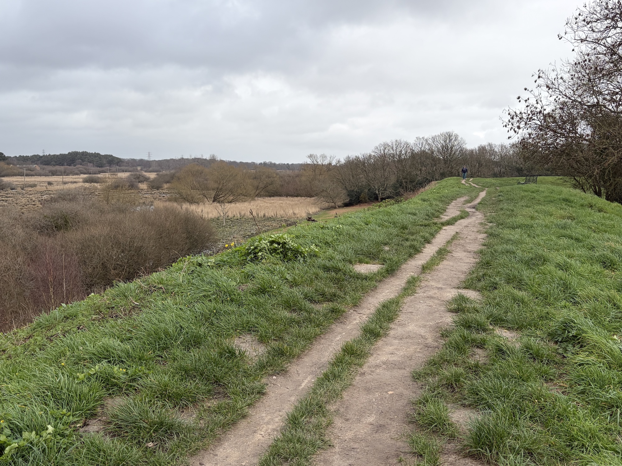 Wareham Town Walls
