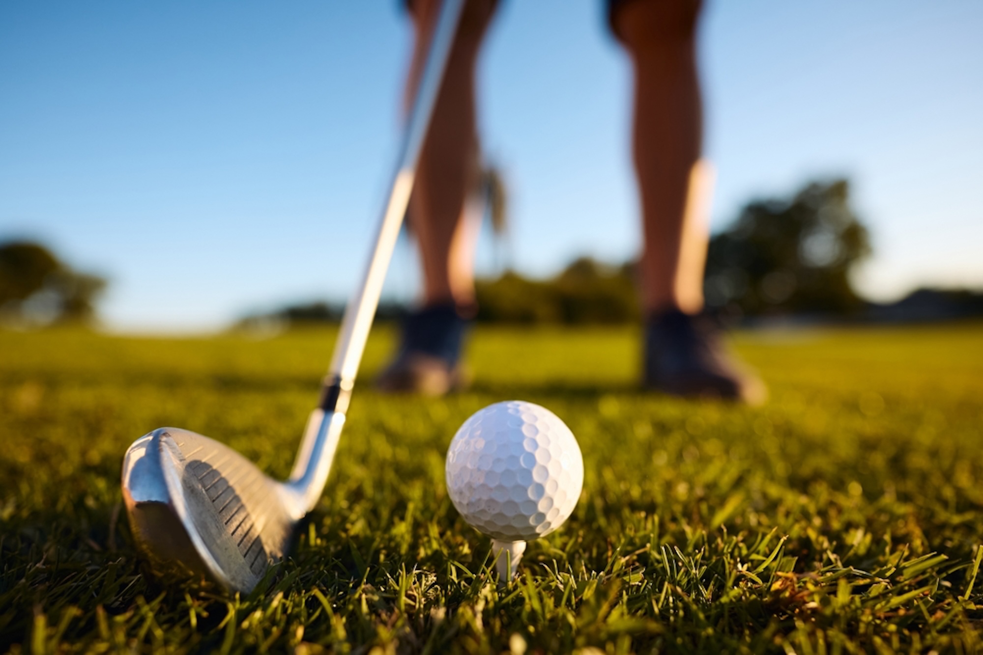 Wessex Golf Centre