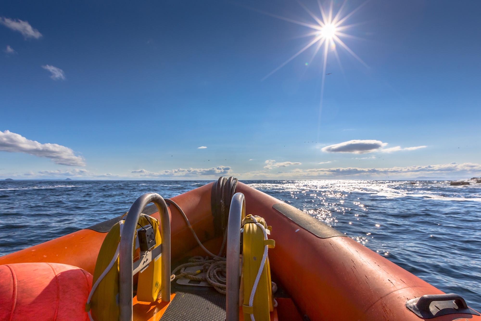 Weymouth Bay RIB Charters