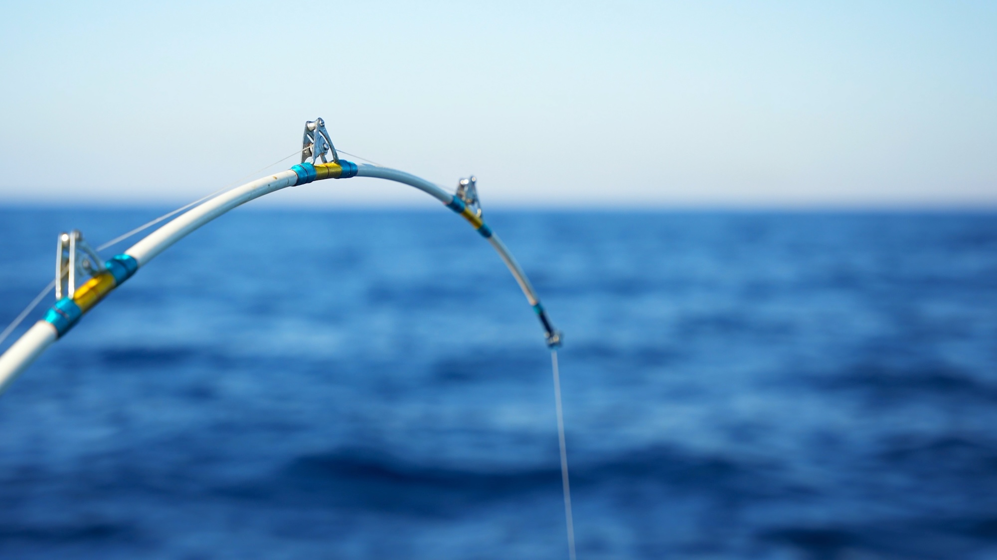 Weymouth Fishing Trips
