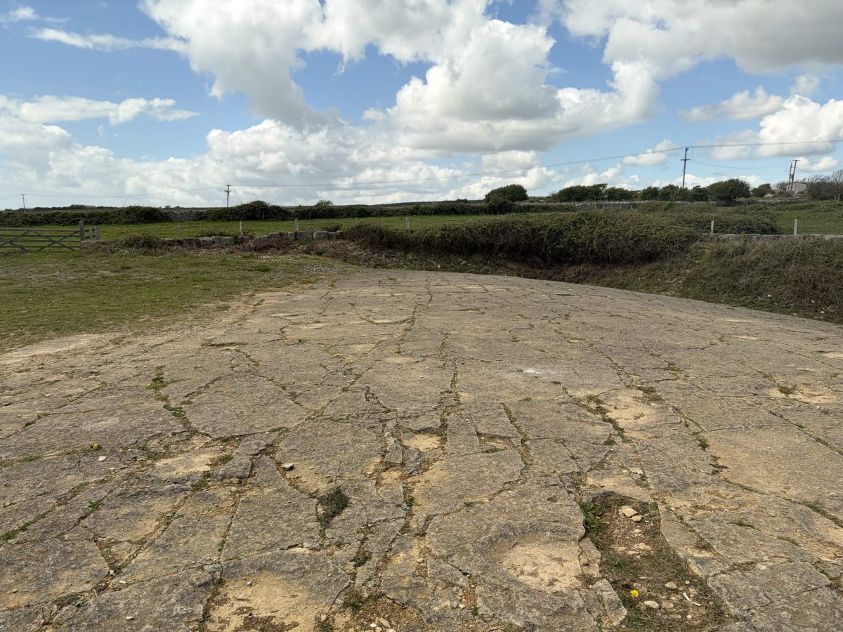 Dinosaur footprints and fossilised tracks at Keates Quarry in Dorset