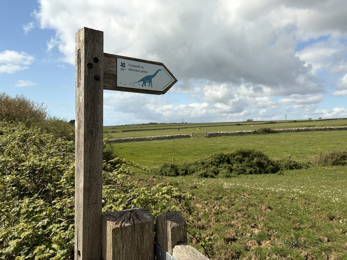 Sign at Keates Quarry in Dorset pointing to dinosaur footprints and fossil trackway