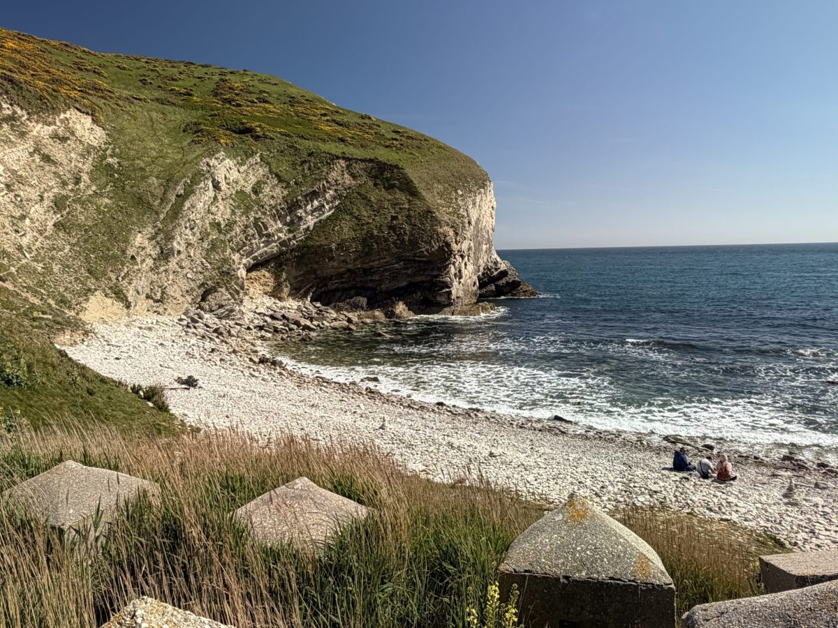Pondfield Cove Dorset with WWII dragon's teeth concrete defences along the shoreline