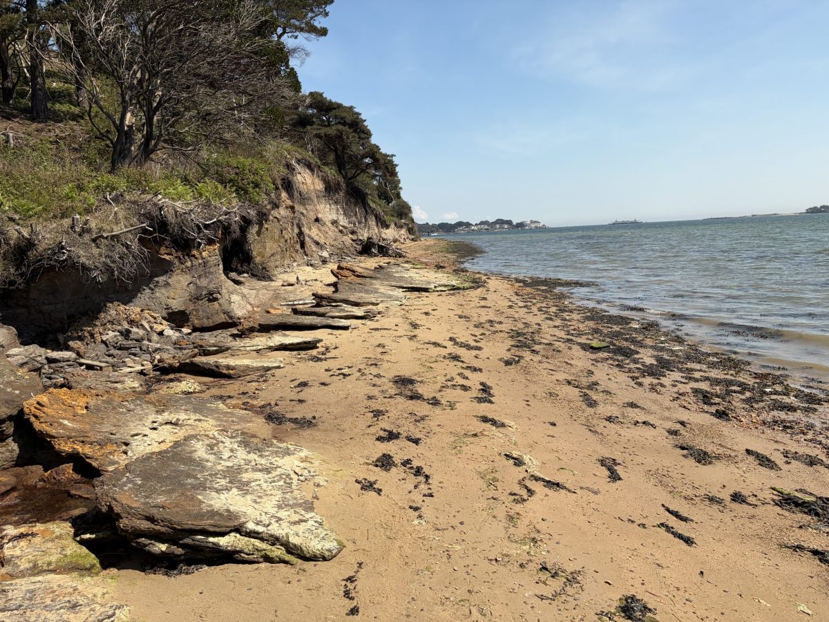 Rocky shoreline and sandy beach on Brownsea Island, Dorset.