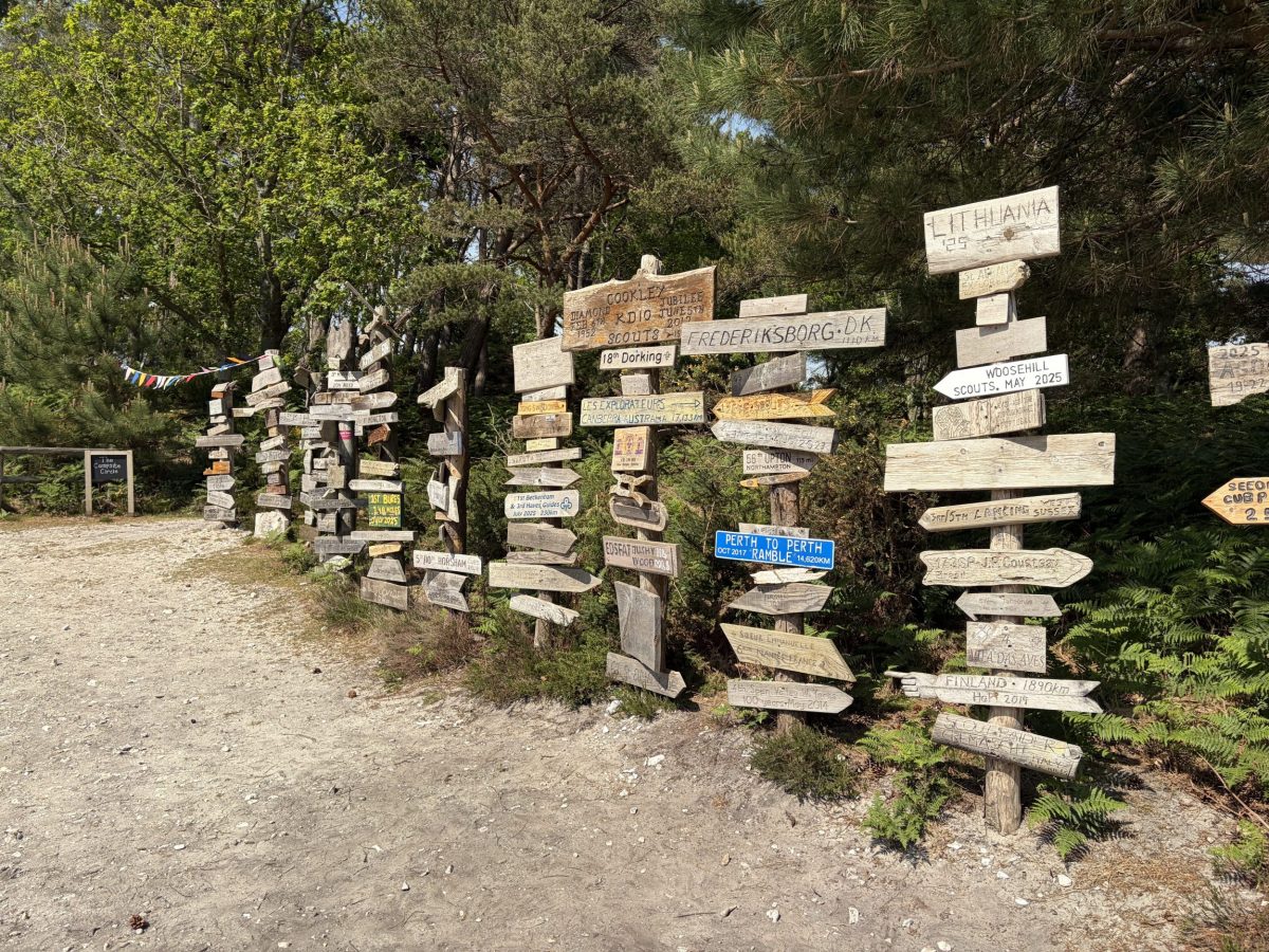 Scout totem poles on Brownsea Island showing names of Scout Groups from around the world.