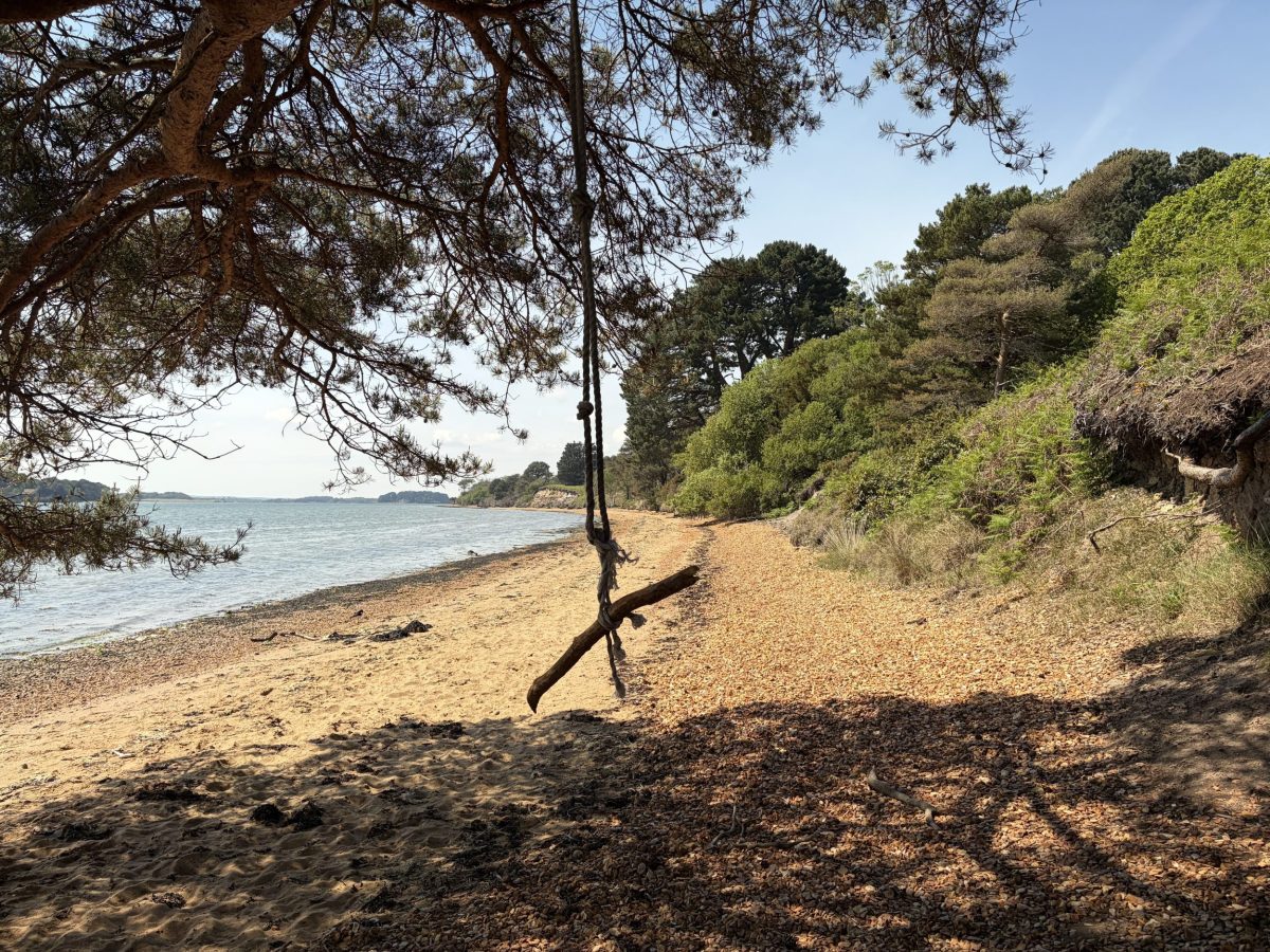 Tree swing overlooking the beach on Brownsea Island in Dorset
