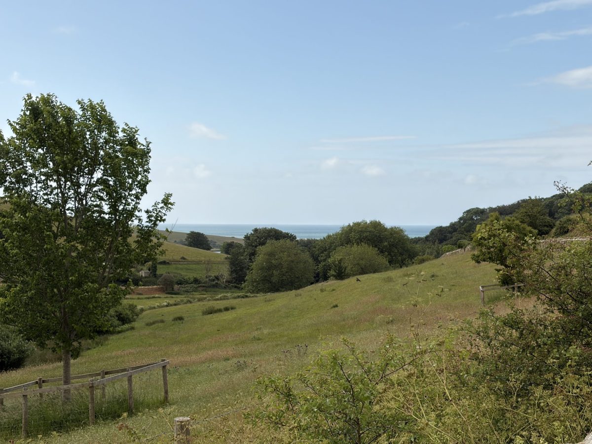 Countryside and coastal views near Abbotsbury in Dorset