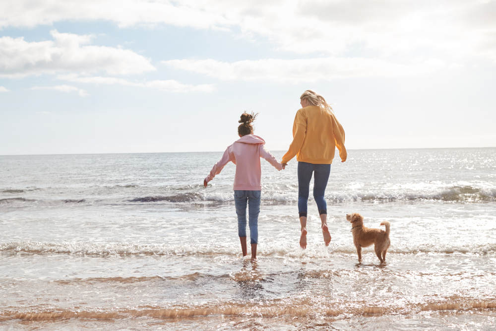 Mother and daughter paddling by the sea with a dog on a last minute Dorset break