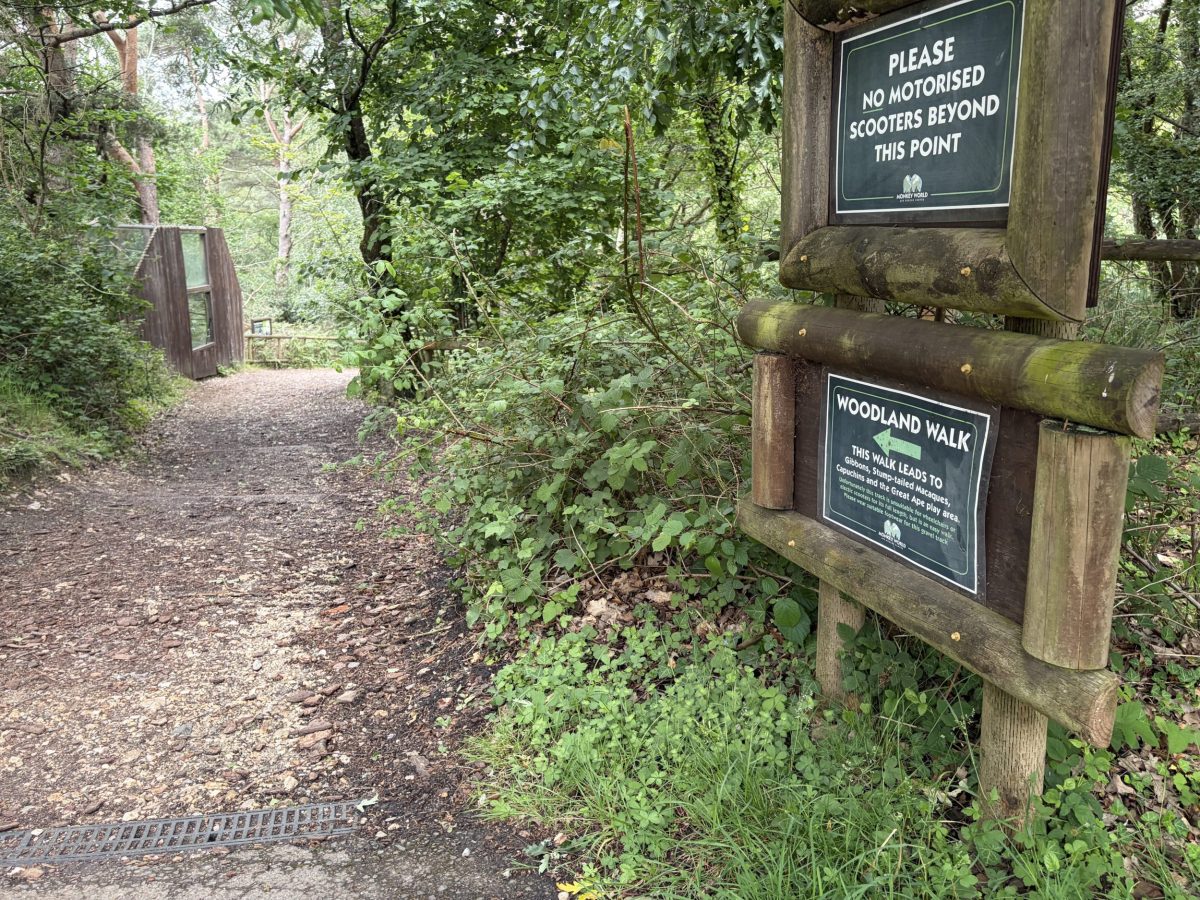 Woodland walking trail at Monkey World Ape Rescue Centre in Dorset