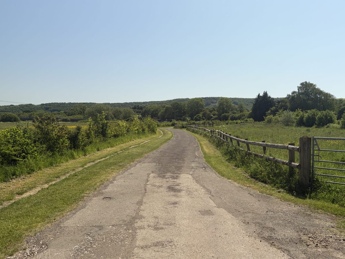 North Dorset Trailway surrounded by green hills and countryside in the Blackmore Vale
