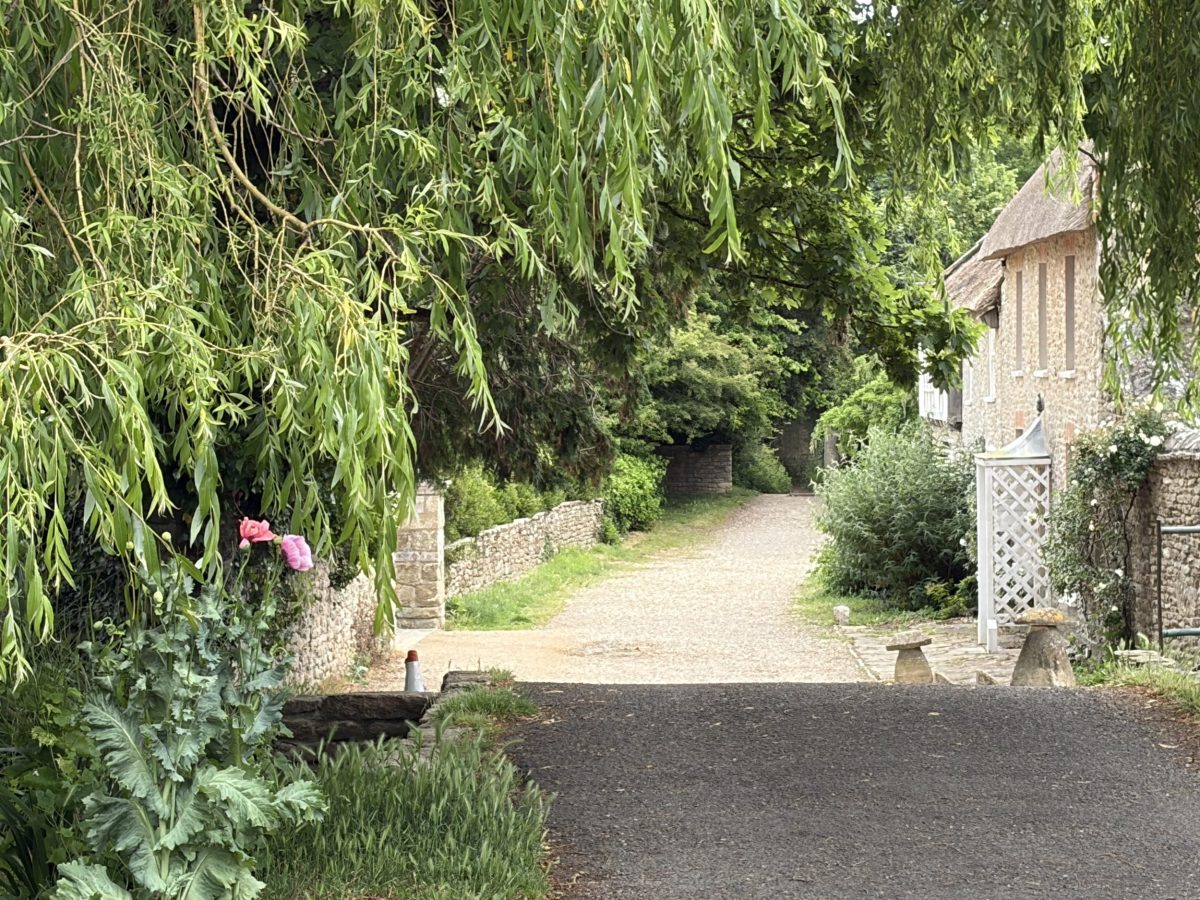 Traditional Dorset stone cottages beneath a weeping willow tree in Burton Bradstock village, Dorset