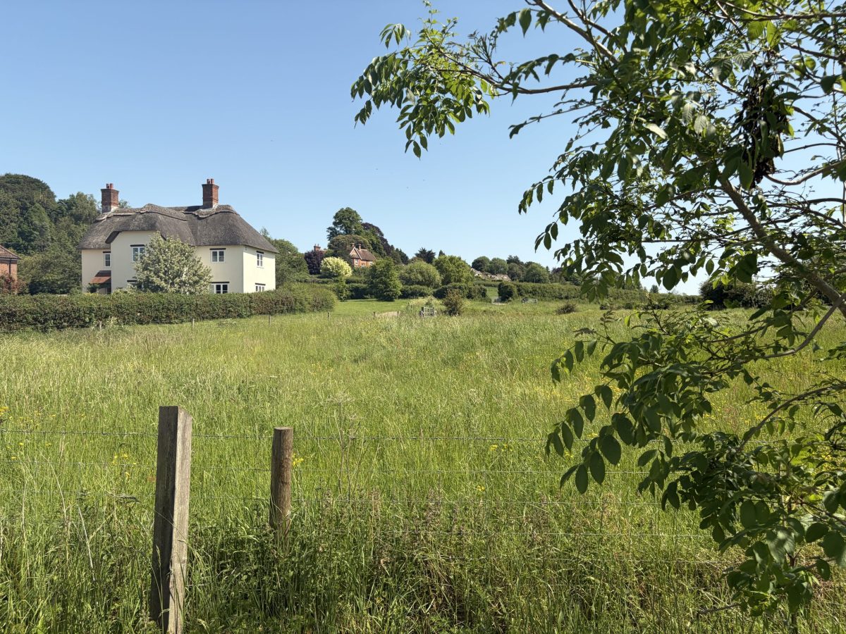 Green village field and traditional cottages in Stourpaine, Dorset