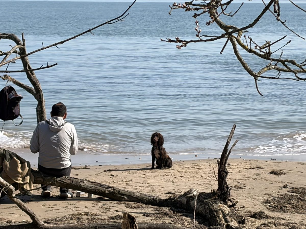 Relaxing on a doing walk on Studland beach