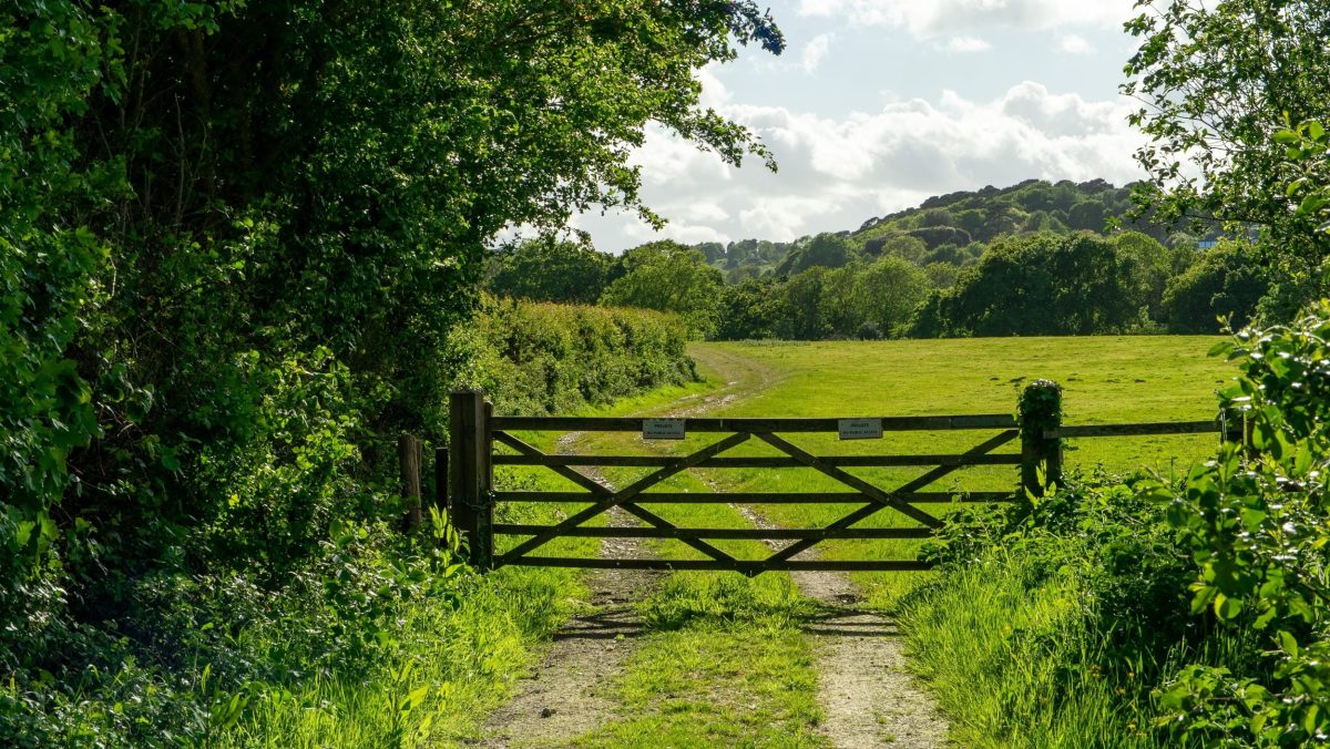 Rolling Dorset countryside viewed through a traditional field gate
