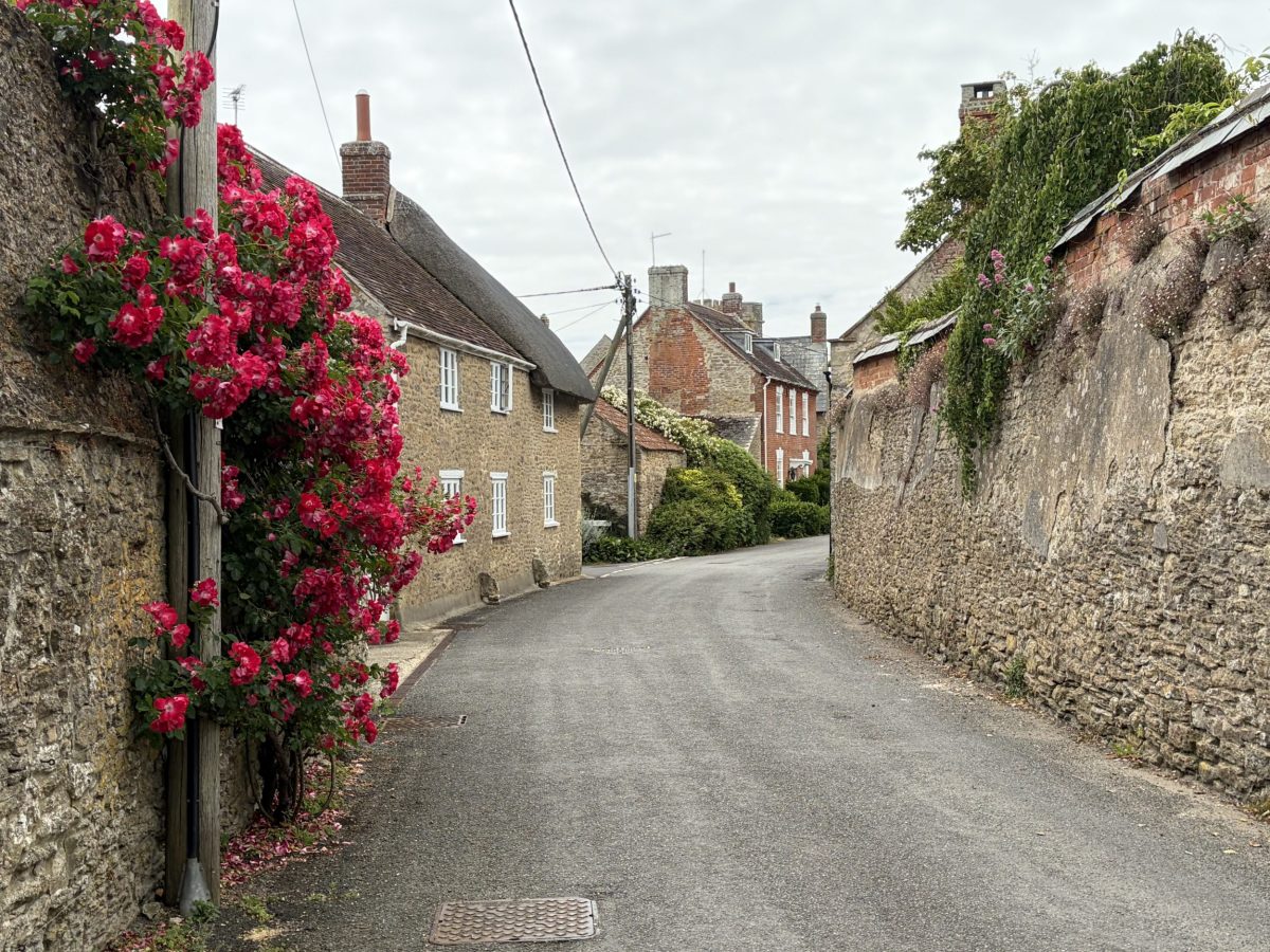 Village lane in the Burton Bradstock, Dorset