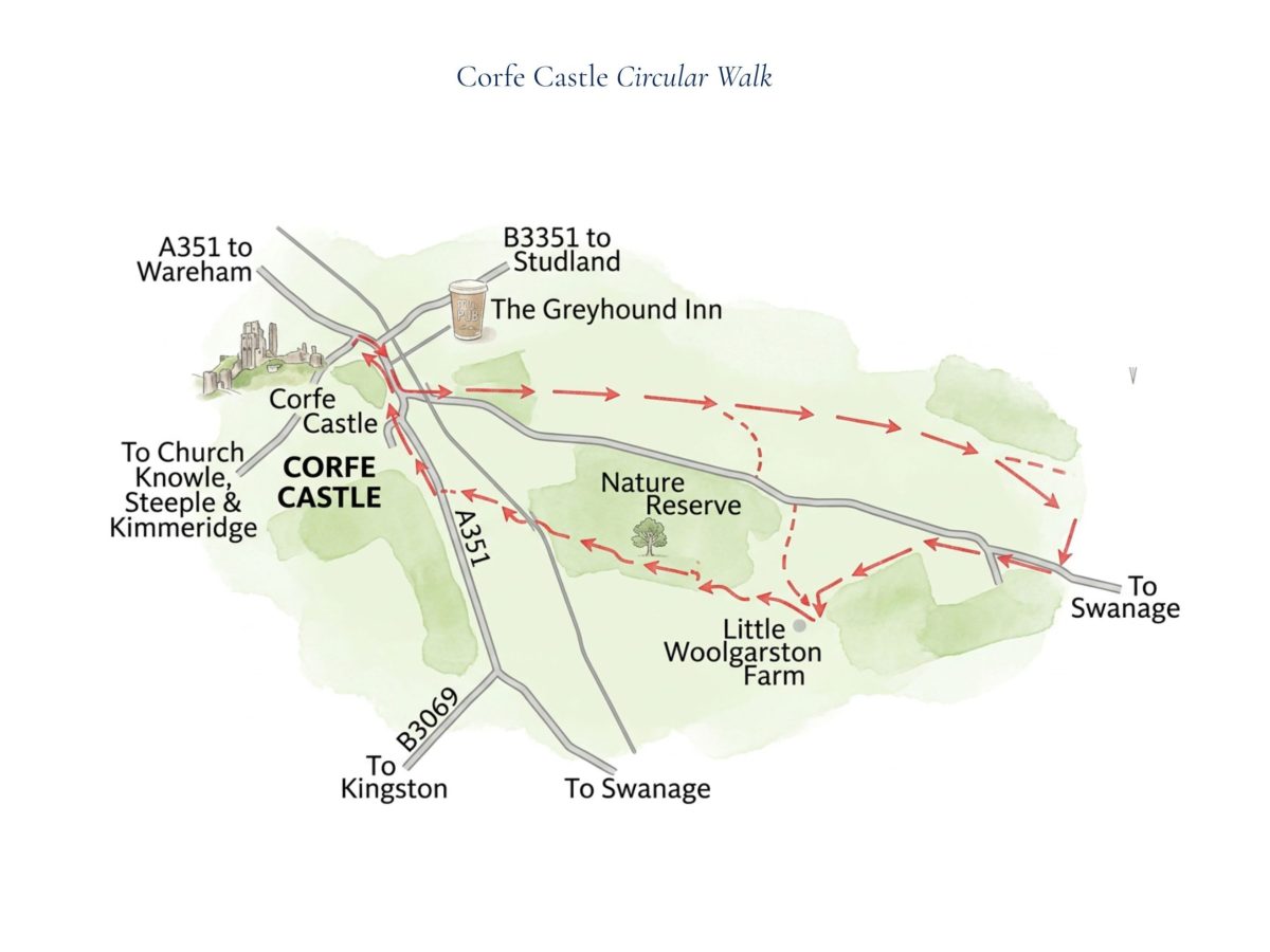 Illustrated route guide showing the circular walk around Corfe Castle and the Purbeck Hills in Dorset.
