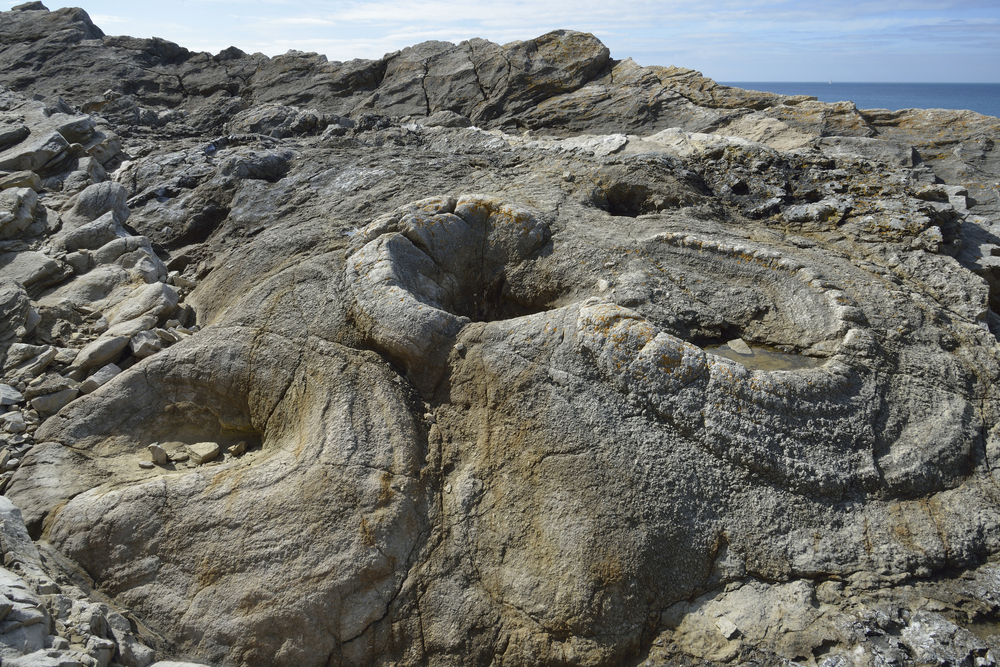 Ancient Fossil Forest at Lulworth on Dorset's Jurassic Coast with the sea beyond.