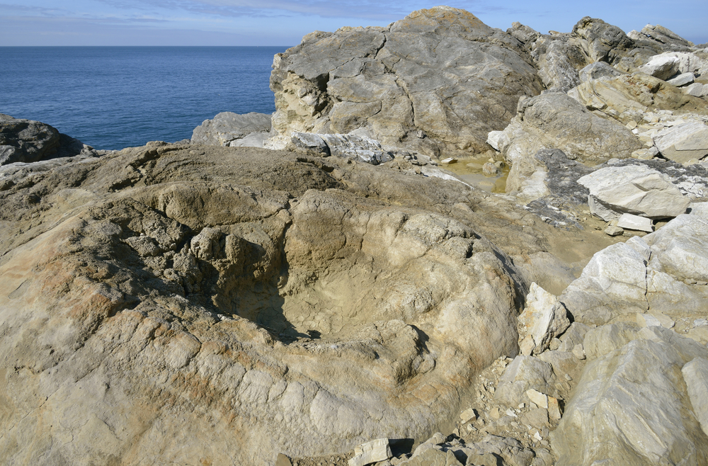 Ancient fossilised tree remains at Fossil Forest near Lulworth with views of the Jurassic Coast.
