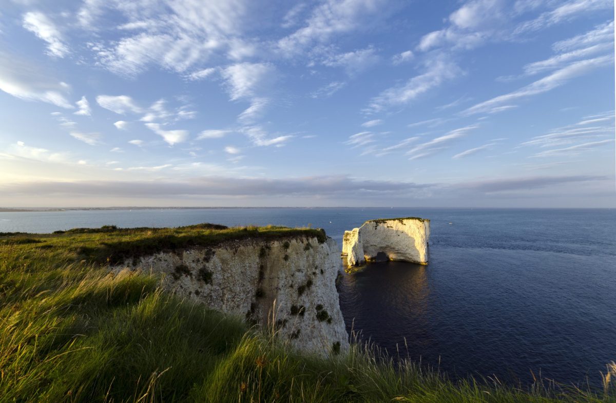 Old Harry Rocks viewed from the cliffs above Studland with sunlit chalk stacks and green clifftop grass.