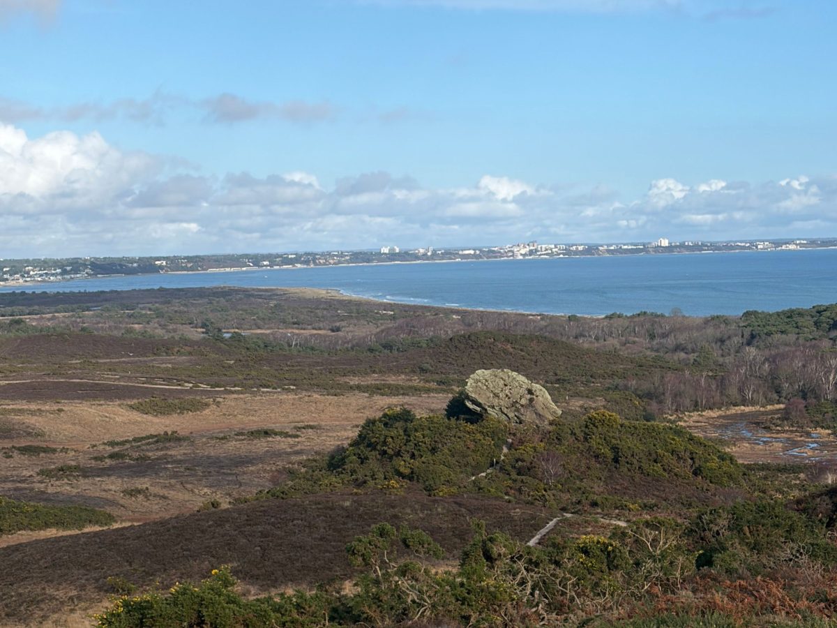 Agglestone Rock surrounded by heathland with views towards Poole Harbour and Bournemouth, Studland, Dorset.
