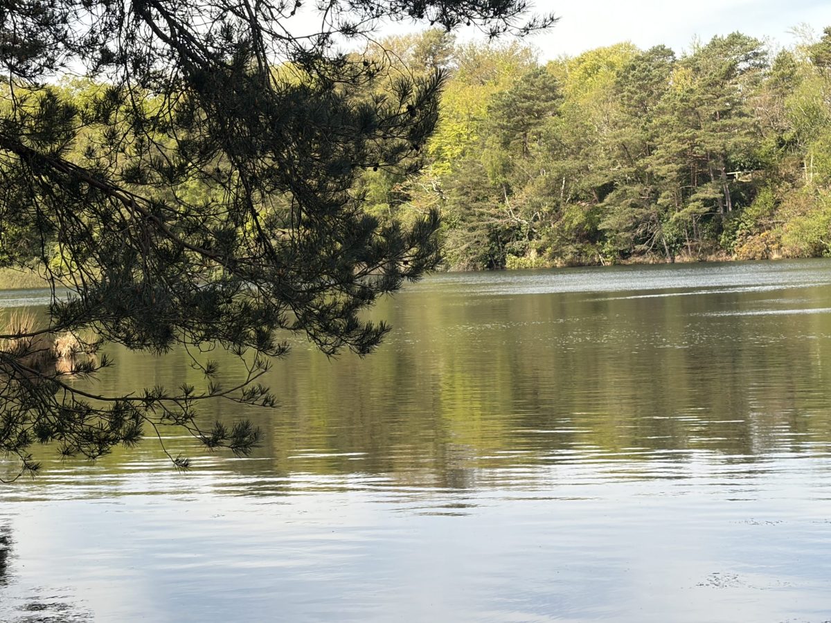 A view across the Blue Pool and the surrounding woodland.
