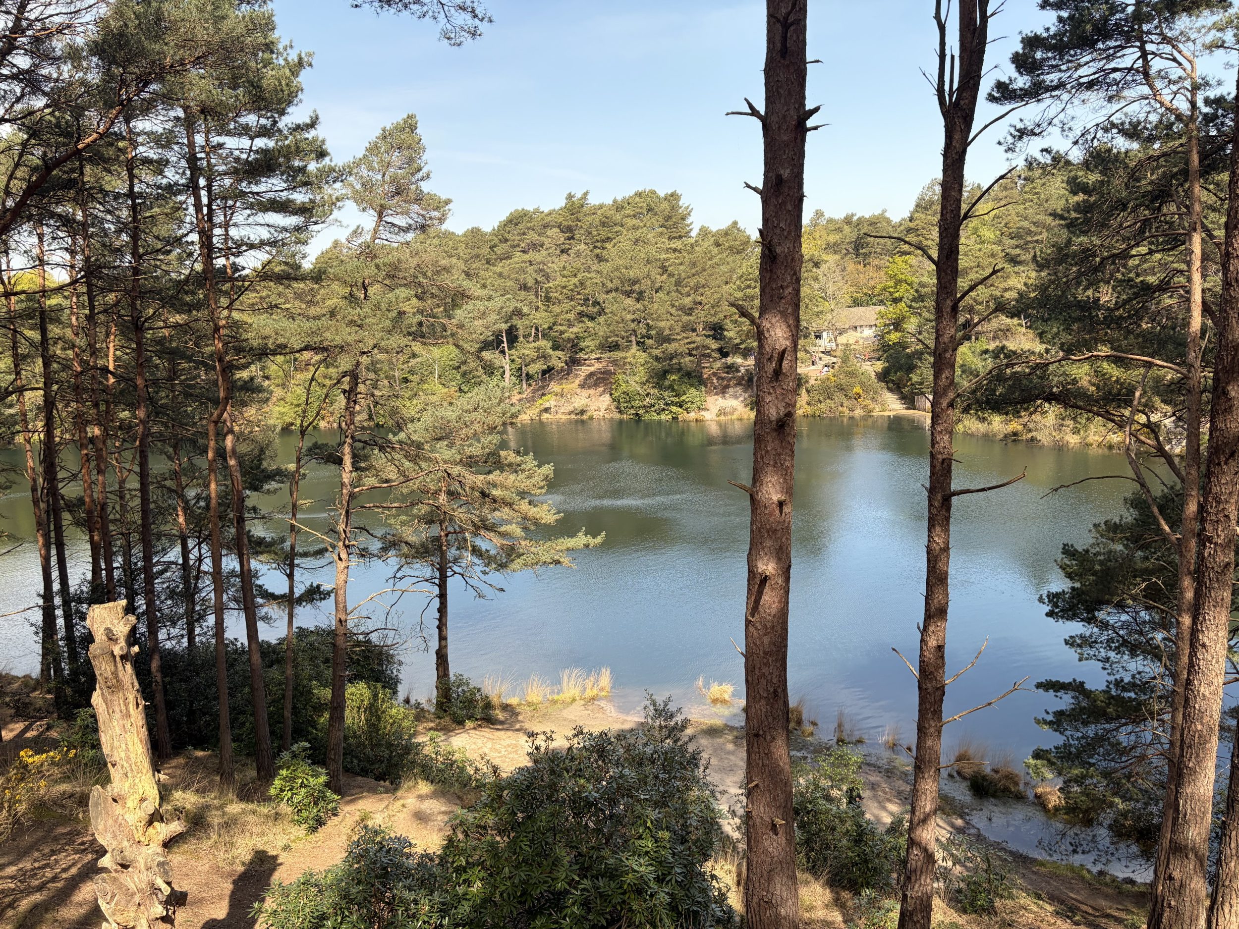 The Blue Pool, Dorset: Why We Keep Going Back To This Magical Attraction