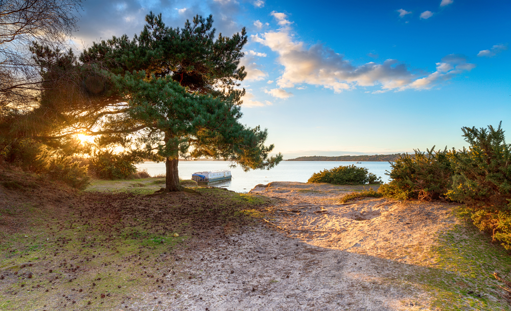 Sandy entrance to Bramble Bush Bay at sunset in Studland, Dorset.