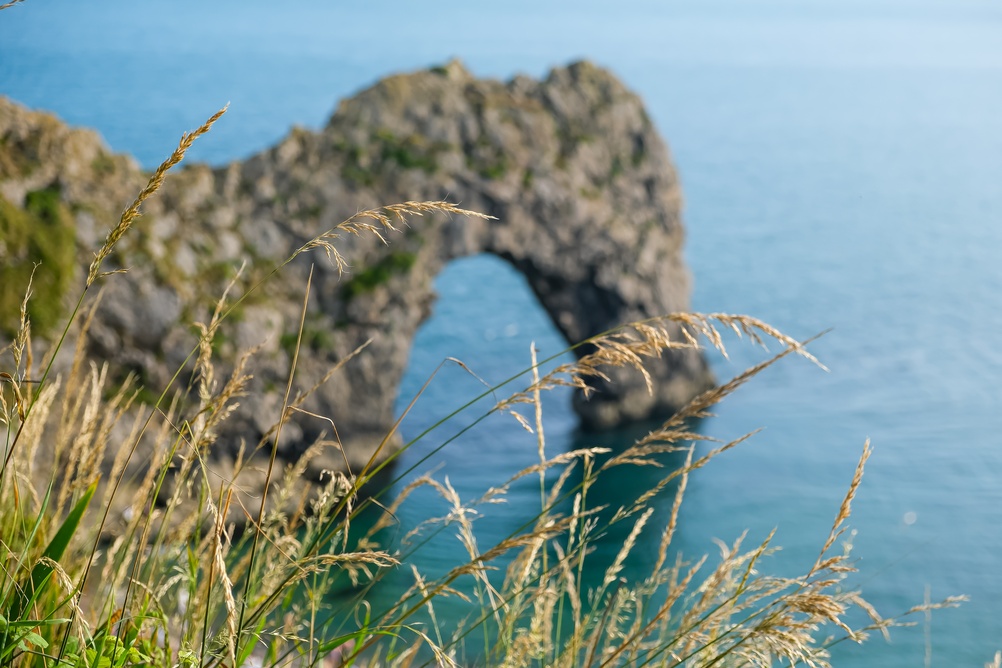 Durdle Door limestone arch viewed through clifftop grass above the clear blue sea