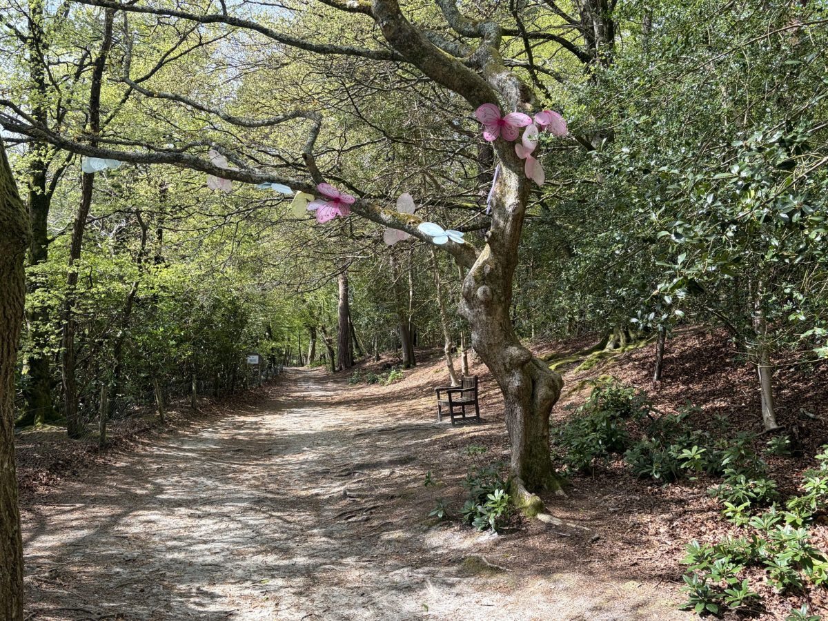 The enchanted fairy woodland trail at The Blue Pool, Wareham, Dorset