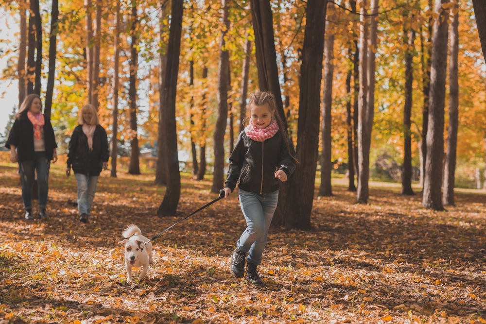 Young girl walking a dog with her family through autumn woodland