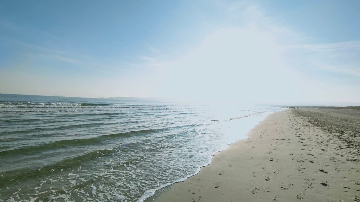 Long stretch of empty sandy beach at Studland Bay, Dorset.