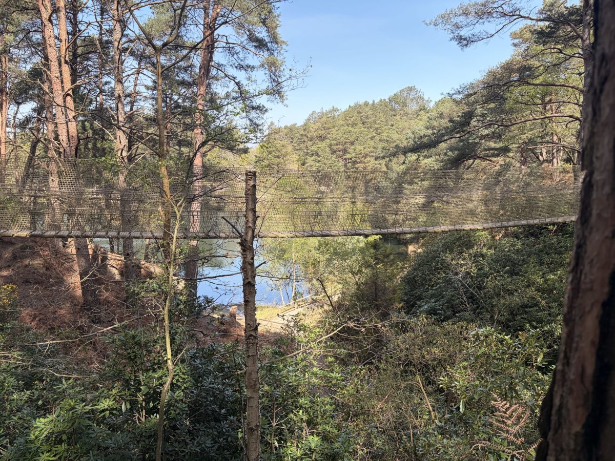 The rope bridge at The Blue Pool, Wareham, Dorset, suspended through the woodland, with a glimpse of the blue pool in the distance.