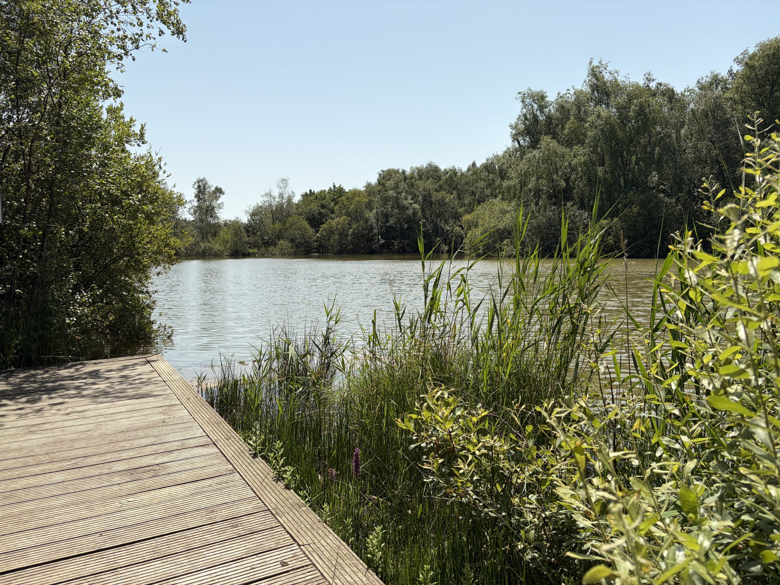 Fishing Lake at Silverlake Estate