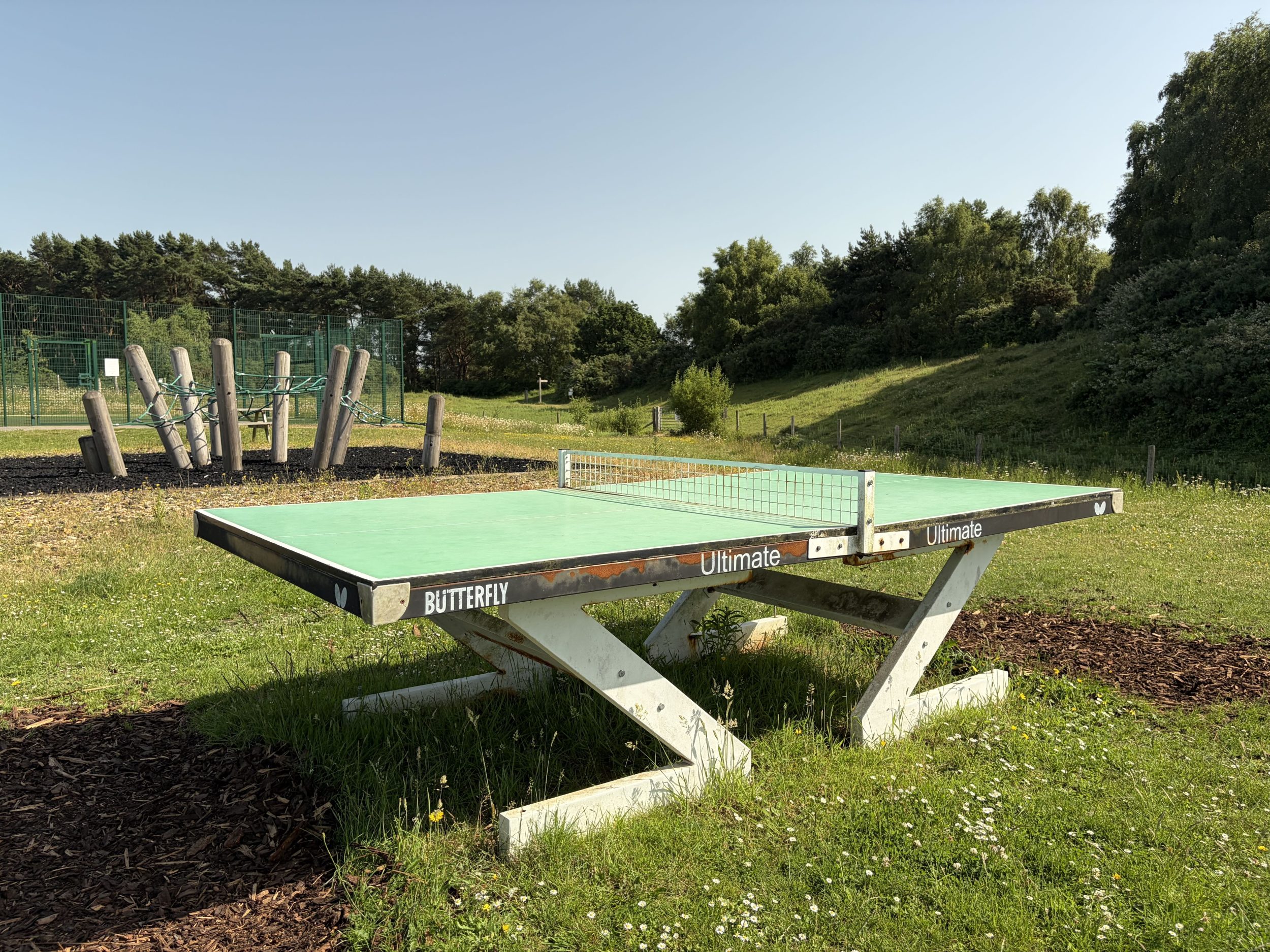 Silverlake Estate Table Tennis