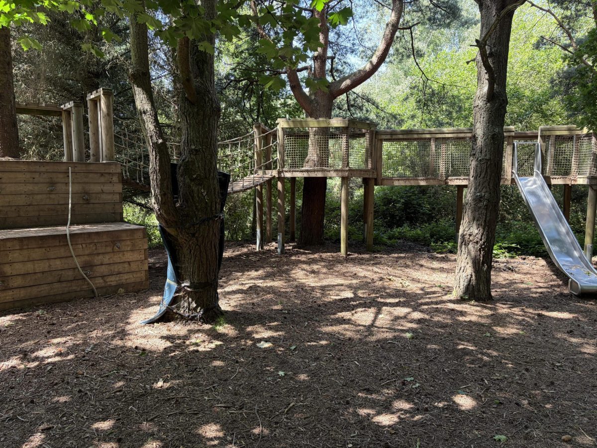 Children's woodland adventure playground at Silverlake Estate in Dorset.